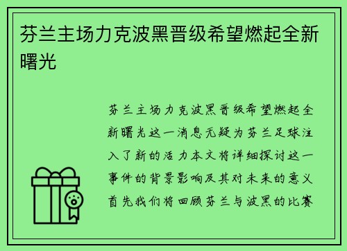 芬兰主场力克波黑晋级希望燃起全新曙光